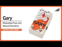 Load and play video in Gallery viewer, Gary