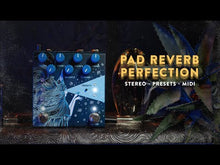 Load and play video in Gallery viewer, Dark Star Stereo Reverb (Pink)