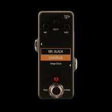 Load image into Gallery viewer, Mini Vintage Chorus