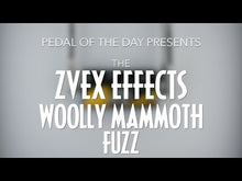 Load and play video in Gallery viewer, Woolly Mammoth -Hand Painted "Moon/Night Sky"