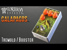 Load and play video in Gallery viewer, Galapagos