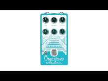 Load and play video in Gallery viewer, Organizer v2