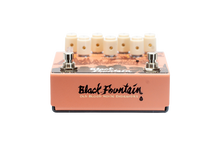 Load image into Gallery viewer, Black Fountain Stereo (Terracotta)
