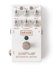 Load image into Gallery viewer, Joshua Ambient Echo
