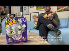 Load and play video in Gallery viewer, Cat King (small box)
