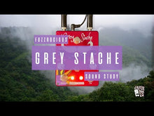 Load and play video in Gallery viewer, Grey Stache/Heliotropic

