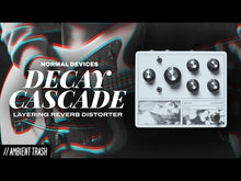 Load and play video in Gallery viewer, Decay Cascade
